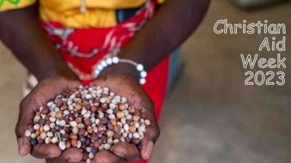 rs7593_-caw23-pigeon-peas.v4.jpg